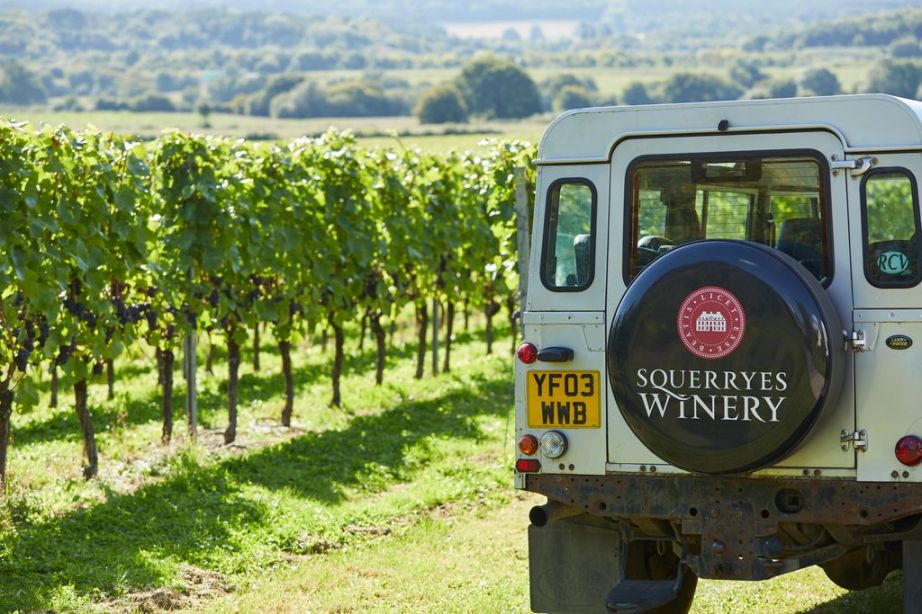 Squerryes Vineyard Experience